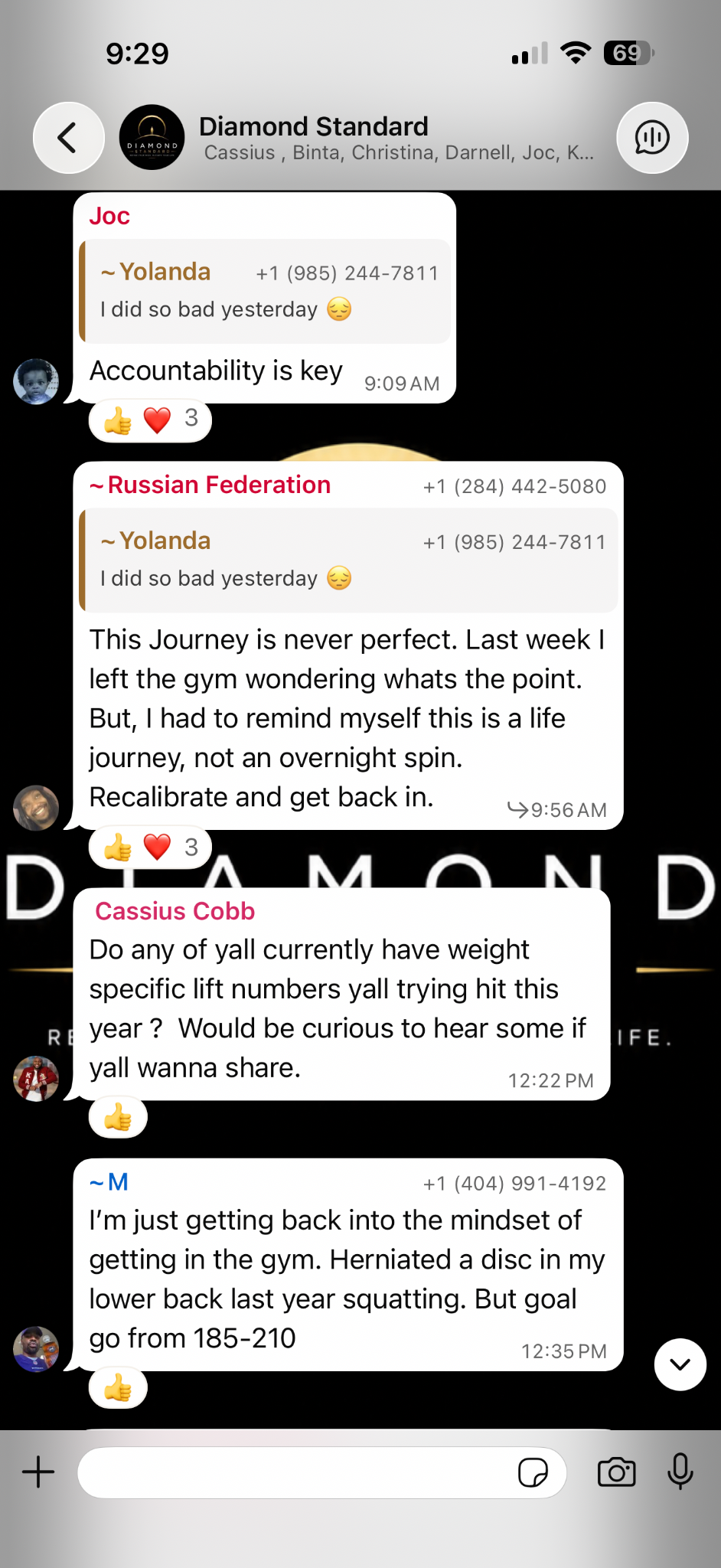 Diamond Standard community screenshot 7