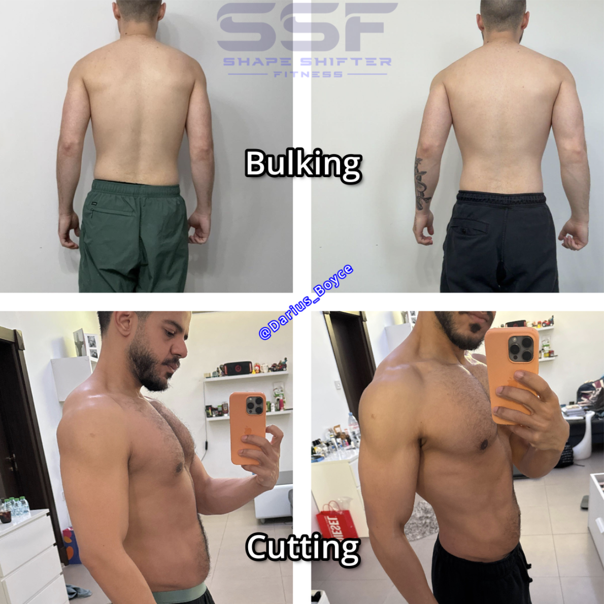Male client bulking and cutting transformation